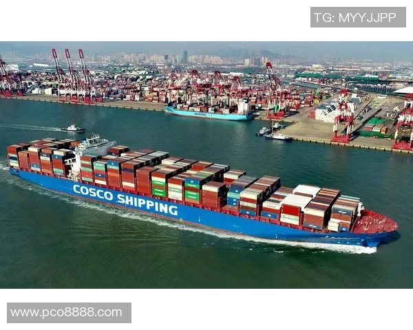 重庆攀岩队创新高攀岩意识排名引领全国攀岩运动新风潮